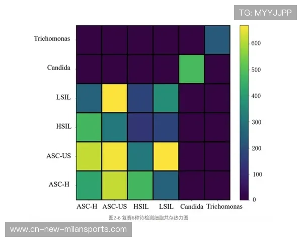 冠军预测模型出现分歧：算法与专家意见不一